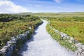 Typical Irish flat landscape in Aran Island with country road, s