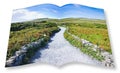 Typical Irish flat landscape in Aran Island with country road, stone walls and fields of grass for grazing animals Ireland - 3D