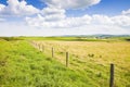 Typical Irish flat landscape with fields of grass and wooden fen