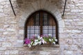 Typical Italian Window With Closed Wooden Shutters, Decorated With Fresh Flowers Royalty Free Stock Photo