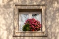 Typical italian window decorated with blooming fresh flowers Royalty Free Stock Photo