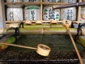 A typical Japanese bamboo fountain in a Kyoto temple Royalty Free Stock Photo