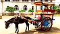 The typical Kalesa in Intramuros. Exhausted black horse.