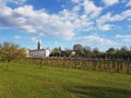 Typical Karst village with vineyard in front