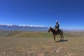 Typical kyrgyz shepherd Royalty Free Stock Photo