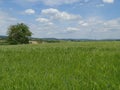 Typical landscape in the Kraichgau region with fields and hills