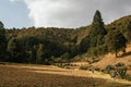 Typical landscape of central Mexico, with magueys, cacti used for the extraction of pulque