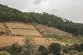 Typical landscape of central Mexico, with magueys, cacti used for the extraction of pulque