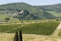 Typical landscape of Chianti classico in the municipality of Greve, Tuscany, Italy Royalty Free Stock Photo