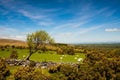On the pasture in Dartmoor Royalty Free Stock Photo