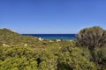 Typical landscape with evergreen maquis and pure lazur coast on the Spanish Tower and the beach Mare Pintau in Sardinia, Italy