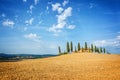 Typical landscape of a farm with a row of cypress trees in Tuscany Italy Royalty Free Stock Photo