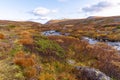 Typical landscape in Jotunheim National Park in Norway during autumn time in the BeitostÃÂ¸len area overlooking the Leirungsae