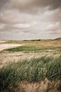 Typical landscape in Jutland, Denmark