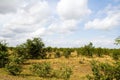 Typical landscape in Kruger National Park