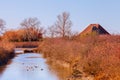 Typical landscape of the Marano lagoon, a town on the Adriatic sea, in winter. Visible the casoni and wild animals. Royalty Free Stock Photo