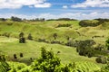 Typical landscape in north New Zealand