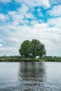 Typical landscape on a river in Holland with a huge tree in the background Royalty Free Stock Photo