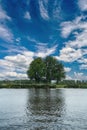 Typical landscape on a river in Holland with a huge tree in the background Royalty Free Stock Photo