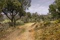 Typical landscape in the Sierra of Guadarrama. madrid Spain