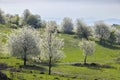 Typical landscape in Stiavnicke vrchy on Krupinska planina, Slovakia