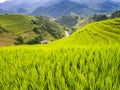 Typical landscape of terraced rice field in the mountains of Mu Cang Chai, Yen Bai Province, northern Vietnam Royalty Free Stock Photo