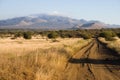 Typical Landscape in Tsavo National Park