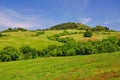 Typical Landscape in Tuscany