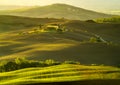 Typical landscape of Tuscany