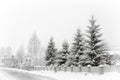 Typical landscape of the Ukrainian Carpathians with private estates in winter Royalty Free Stock Photo