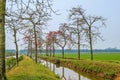 Typical landscape of Vietnam village