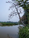 Typical landscape of Vietnam village