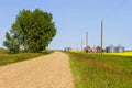 Alberta canola field agriculture canada Royalty Free Stock Photo