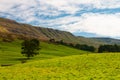 The typical landscape in Yorkshire Dales National Park, Great Britain Royalty Free Stock Photo