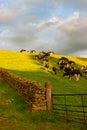 The typical landscape in Yorkshire Dales National Park, Great Britain Royalty Free Stock Photo