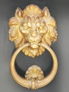 Typical lion door knocker in Venice Royalty Free Stock Photo