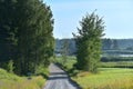 Typical Lithuania landscape .Road near ponds. Royalty Free Stock Photo