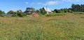 A typical Lithuanian summer grassy flowering meadow