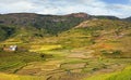 Typical Madagascar landscape - green and yellow rice terrace fields on small hills with clay houses in Andringitra region near Royalty Free Stock Photo