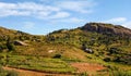 Typical Madagascar landscape - green and yellow rice terrace fields with zebu cattle on small hills with clay houses in region Royalty Free Stock Photo