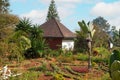 Typical Madagascar landscape view