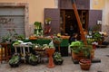 Typical market with fresh fruits and vegetables on the streets