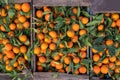 A typical market stall selling oranges to tourists in Marrakech. Royalty Free Stock Photo