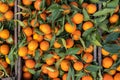 A typical market stall selling oranges to tourists in Marrakech. Royalty Free Stock Photo