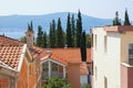 Typical Mediterranean urban landscape: houses with red tiled roof , green cypresses. Montenegro, Tivat town