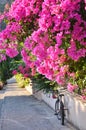 Typical Mediterranian outdoor street exterior in summer.