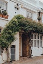 Typical mews house in London, UK, with climber tree over the entrance