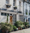 Typical mews house in London, UK, many plant pots by the entrance