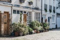 Typical mews house in London, UK, many plant pots by the entrance