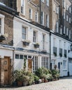 Typical mews house in London, UK, many plant pots by the entrance